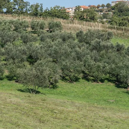 Bella Cima Apartment