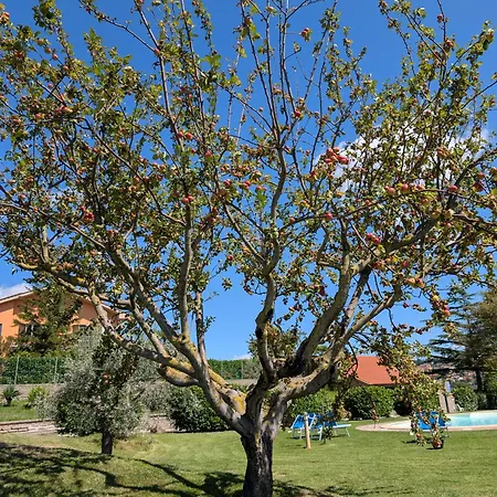 Bauernhof Bella Cima Montefiascone